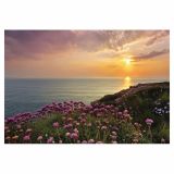 FOTOTAPETA 8-DELNA  LAND'S END 368X254 CM KOMAR