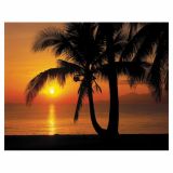 FOTOTAPETA 8-DELNA PALMY  BEACH SUNRISE 368X254 CM KOMAR