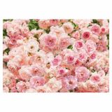 FOTOTAPETA 8-DELNA ROSA  368 X 254 CM KOMAR