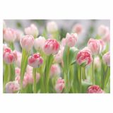 FOTOTAPETA 8-DELNA  SECRET GARDEN 368X254 CM KOMAR