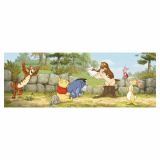 FOTOTAPETA1-DELNA WINNIE LESSON ONE DIM. 202X73CM KOMAR