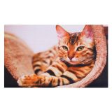 PREDPRAŽNIK GALLERY 005 MAČKA 75X45 CM