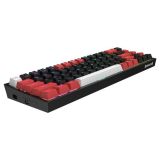 GAMING TIPKOVNICA REDRAGON CASTOR K631RGB PRO ŽIČNA/BREZŽIČNA, MEHANSKA