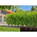 GARNITURA ZA ZALIVANJE GARDENA MD NAMAKALNI SET ZA ŽIVE MEJE 50M