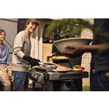 PLINSKI ŽAR WEBER GENESIS II E-310 GBS