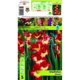 GLADIOLA HOLLAND BULB MARKET STEREO