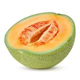 PLODOVKE L'ORTO FRUTTIFERO GLADKA MELONA 1/1 TAMARIS F1 L10