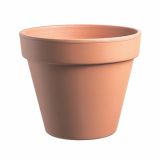 GLINENI SADILNI LONEC EUGANEA VASI STANDARD 11 CM