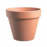 GLINENI SADILNI LONEC EUGANEA VASI STANDARD 7 CM