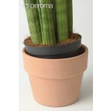 GLINENI ZUNANJI LONEC DEROMA CACHEPOT PERFETTO BELJEN 11 CM