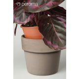 GLINENI ZUNANJI LONEC DEROMA CACHEPOT PERFETTO SIV 13 CM