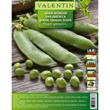 STROČNICA VALENTIN GRAH WONDER VAN AMERICA 80 G