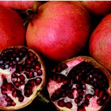 SADNO DREVO GRANATNA JABLANA