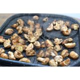 NAMIZNI ŽAR BLAUPUNKT GRT601