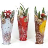 GUZMANIJA MIX CHRISTMAS L12