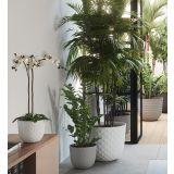 PE ZUNANJI LONEC HAVANA TROPICAL GRANITE 20CM