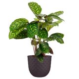 PE ZUNANJI LONEC HAVANA TROPICAL MUD GREY 20 CM