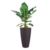 PE ZUNANJI LONEC HAVANA TROPICAL MUD GREY 70 CM
