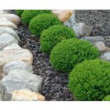 HEBA GREEN GLOBE L12 CM