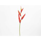 UMETNO CVETJE HELIKONIJA 69CM RDEČA