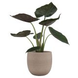 KERAMIČNI NOTRANJI LONEC HEMERA 25 CM TAUPE