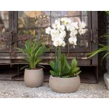 KERAMIČNI NOTRANJI LONEC HEMERA SKLEDA 29 CM TAUPE