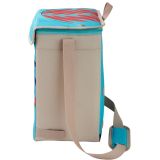 HLADILNA TORBA ETHNIC MINIMAXI 19L