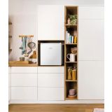 HLADILNIK GORENJE R44E4W4