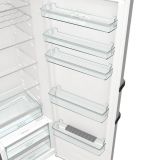 HLADILNIK GORENJE R619EAXL6