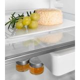 HLADILNIK IN ZAMRZOVALNIK LIEBHERR CNDEX 5223