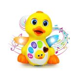 HOLA PLESOČA RAČKA 808