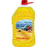 PAULINA HORIZONT LETNA TEKOČINA ZA VETROBRANSKO STEKLO 5L LIMONA