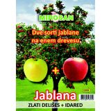 SADNO DREVO JABLANA 2 SORTI V LONCU