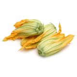 VRTNINA L'ORTO FRUTTIFERO PLEZAJOČA BUČKA 4/1 DA FIORE KULTIPAK