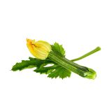 PLODOVKE L'ORTO FRUTTIFERO PLEZAJOČA BUČKA 4/1 PANTHEON KULTIPAK