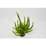 JESENSKA VRESA ORANŽNA SKYLINE SEASTAR L9