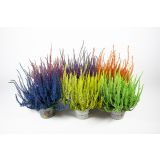 JESENSKA VRESA BARVANA MIX L12