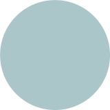 PRIPRAVLJENA BARVA JUB JUPOL TREND MINT 456 2.5 L