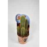 KAKTUS INDIAN MIX L12