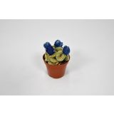 KAKTUS S CVETOVI L8.5 CM