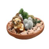 KAKTUS V GLINENI POSODI L23