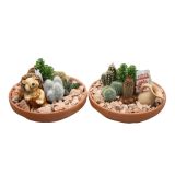 KAKTUS V GLINENI POSODI L23