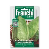 KAPUSNICA FRANCHI SEMENTI ZELJE KONIČASTO