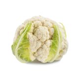 KAPUSNICE L'ORTO FRUTTIFERO CVETAČA 4/1 CLIPPER F1 KULTIPAK