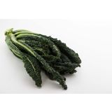 KAPUSNICE L'ORTO FRUTTIFERO LISTNI OHROVT 4/1 L.9 LACINIATO (80/100GG