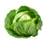 KAPUSNICE ZELJE BELO 6 KOS