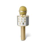 KARAOKE FOREVER BMS-300 LITE MIKROFON + ZVOČNIK