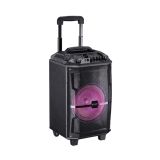 KARAOKE BLUETOOTH ZVOČNIK XPLORE XP8802 CABANA