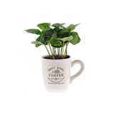 KAVA ARABICA V SKODELICI L7 VIŠ 15CM