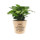 KAVA KAVOVEC NAIROBI OKR. LONEC L12